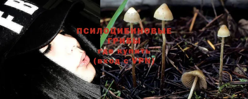 Псилоцибиновые грибы Magic Shrooms  Оханск 